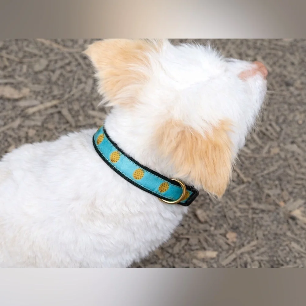 Up Country Pineapple Dog Collar - Size Medium